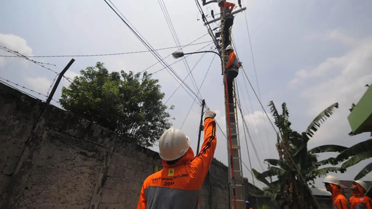 PLN 