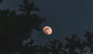 Titik untuk Melihat Hunter's Moon, Ini Waktu Terbaik untuk Menyaksikannya