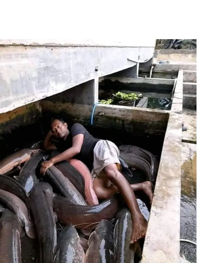 6 Rezeki Tak Terduga Dapat Ikan Lele Jumbo Saat Mancing, Bikin Melongo