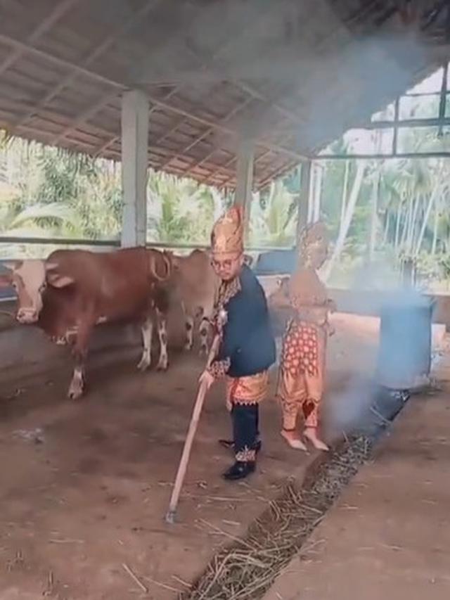 Pasangan Ini Foto Prewedding di Kandang Bebek dan Sapi, 6 Hasilnya Tetap Estetik