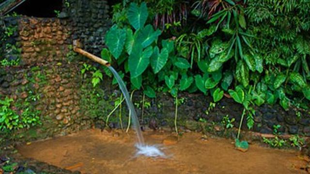 Pancuran Suci Sendangsari