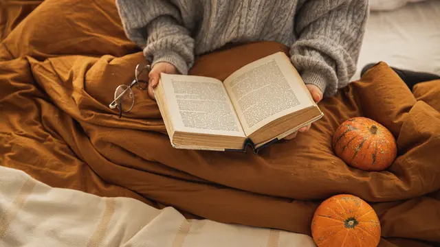 Ulasan Singkat Novel Rumah Kaca