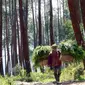 Warga berjalan memikul rumput menyusuri jalan di kawasan Wana Wisata Umbul Jumprit, Jateng. Selain tempat wisata alam kawasan itu dimanfaatkan warga untuk mencari rumput dan kayu bakar.(Antara)