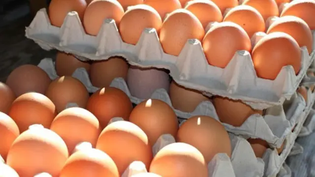 Telur ayam.
