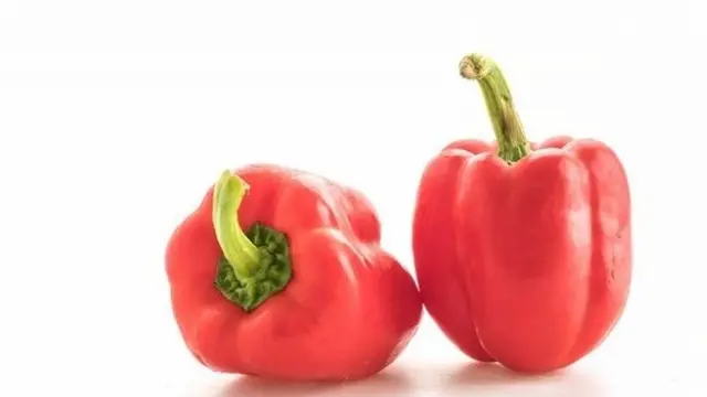 Paprika (Sumber: freepik.com/topntp26)