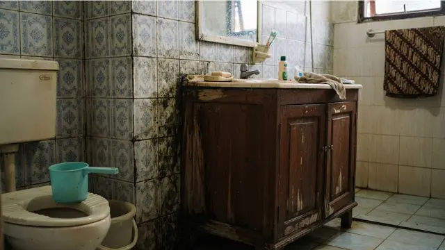 Jamur di Kamar Mandi