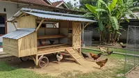 Kandang Ayam Permanen vs Bongkar Pasang, Mana yang Lebih Hemat?