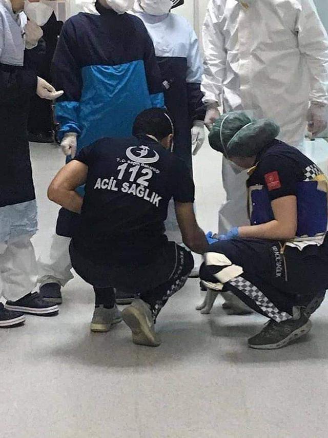 Kisah Induk Kucing Bawa Anaknya ke Rumah Sakit Ini Bikin Haru