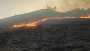 Bromo Kembali Terbakar, Api Melalap Area Sabana Dekat Bukit Teletubbies