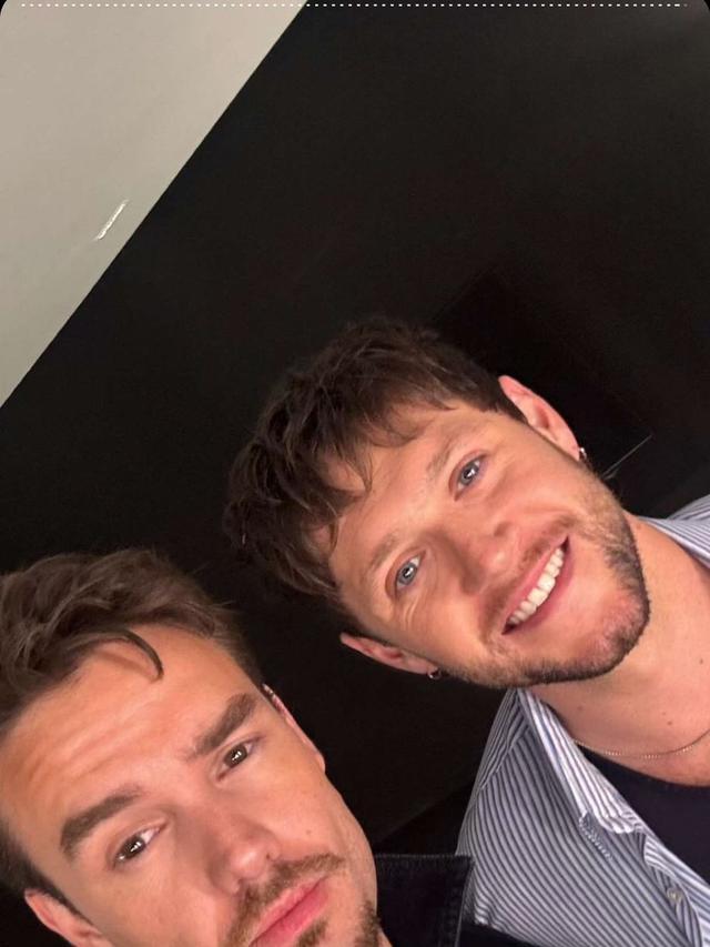 Liam Payne dan Niall Horan (Snapchat/Liam Payne)
