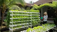 8 Model Hidroponik Rak Bertingkat Cocok Buat Ibu Rumah Tangga Produktif