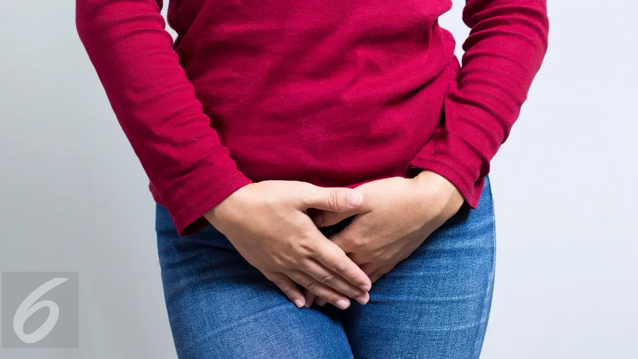 Vagina Alat Kelamin Perempuan