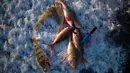 Ikan Bass hasil memancing di laut Bothnia yang sedang membeku, Vaasa, Finlandia (29/12). Suhu yang sangat ekstrem, pemancing dapat melakukan aksinya di tengah laut dengan berjalan kaki. (AFP PHOTO/Olivier Morin)