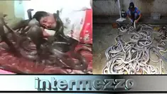 (Liputan6.com)