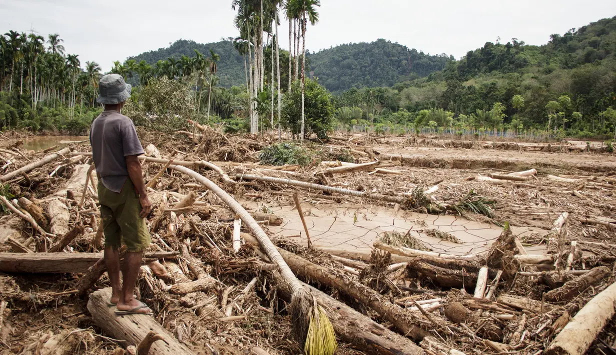 Seorang pria melihat kerusakan yang disebabkan oleh banjir yang membawa sisa-sisa pembalakan liar di Pelangai Gadang, Sumatera Barat, pada Sabtu 15 Maret 2025. (REZAN SOLEH/AFP)