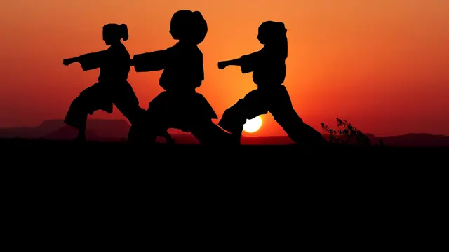 ilustrasi karate  (sumber: Pixabay)