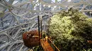 Para pengunjung bersantai di area "the nest" saat pembukaan kantor baru Amazon, The Spheres, di Seattle, Senin (29/1). Kantor bernuansa hutan hujan itu memiliki jalan setapak dan tempat rapat tidak biasa yang diengkapi beberapa kursi. (AP/Ted S. Warren)