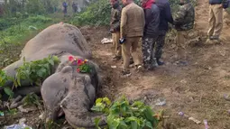Penduduk desa dan pekerja kehutanan India menaruh bunga di sekitar tubuh seekor gajah desa Batasi dekat perbatasan India-Nepal, sekitar 37 km dari Siliguri (11/12/2019) Dua gajah yan tengah melintasi rel tewas ketabrak kereta penumpang yang sedang melaju. (AFP/Diptendu Dutta)