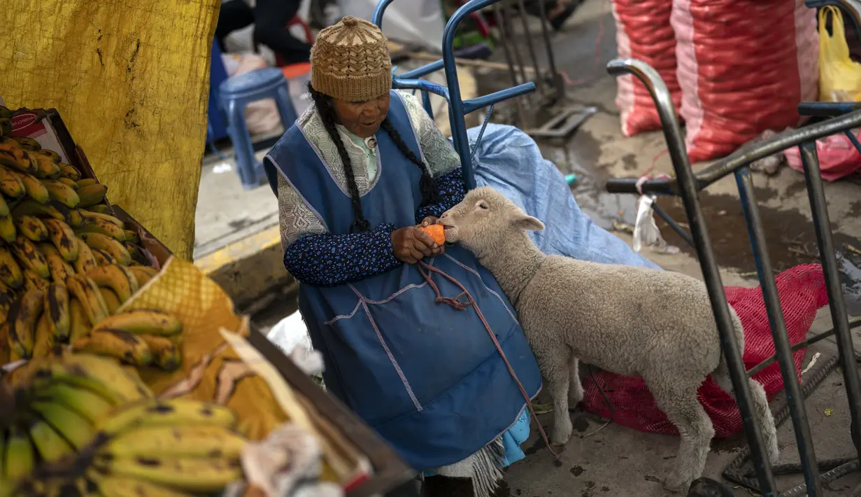 Seorang perempuan memberi makan domba sambil menunggu pelanggan di pasar makanan populer di Puno, Peru, Minggu (29/1/2023). Peru telah menjadi salah satu bintang ekonomi Amerika Latin di abad ke-21, dengan pertumbuhan yang kuat mengangkat jutaan orang keluar dari kemiskinan. (AP Photo/Rodrigo Abd)