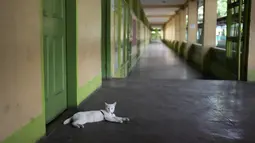 Jutaan siswa di semua sekolah negeri di Filipina diperintahkan untuk tinggal di rumah pada hari Senin setelah pihak berwenang membatalkan kelas tatap muka selama dua hari. (AP Photo/Aaron Favila)