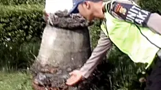 liputan6