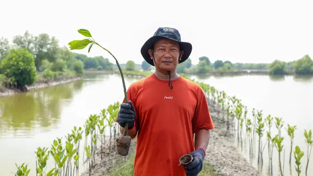 BRI Peduli Perkuat Aksi Lingkungan di Hari Mangrove Sedunia 2025 Lewat Program Penanaman di Muara Gembong