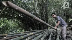 Kharis (25) memilih bambu untuk dijadikan rangka sepeda Jatnika di Workshop Perajin Bambu Indonesia, Cibinong, Bogor, Jawa Barat, Minggu (5/7/2020). Untuk satu unit sepeda bambu Jatnika, Kharis mengaku membutuhkan waktu proses pembuatan selama 1,5 bulan. (merdeka.com/Iqbal S. Nugroho)