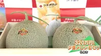 Bikin Melongo, Melon Ini Terjual Seharga Rp 400 Juta