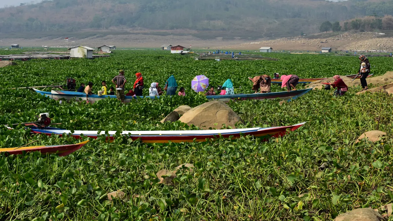 Waduk Jatiluhur, Purwakarta.