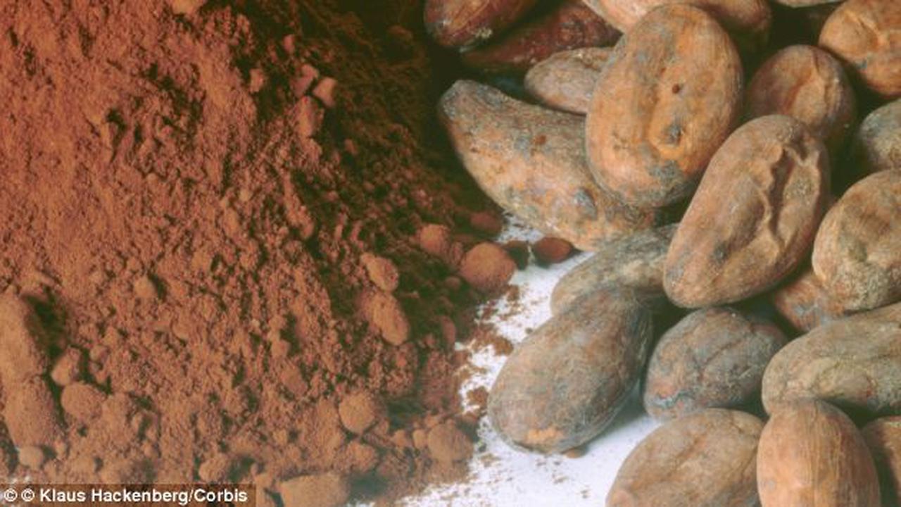 Kapsul yang Terbuat Dari Flavanol Ampuh Cegah Serangan Jantung?