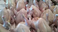 Harga Daging Ayam Tak Naik Jelang Ramadan, Dibanderol Segini
