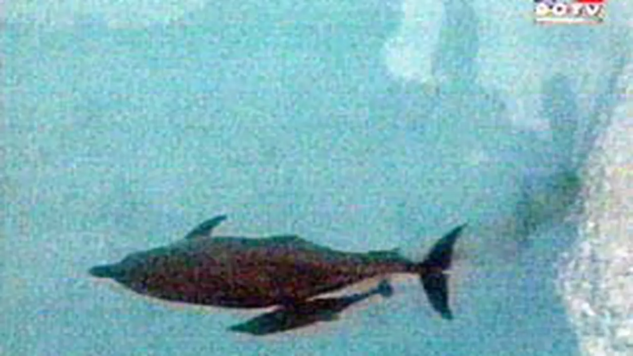 280601cLN-Lumba.jpg