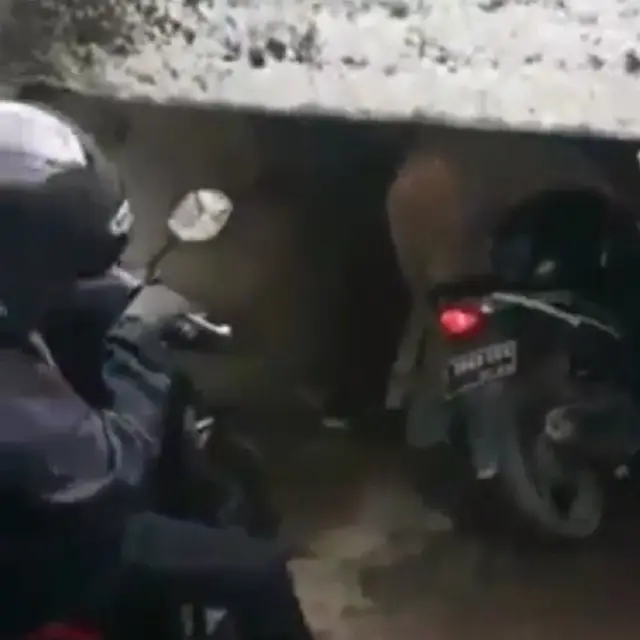 terowongan pendek