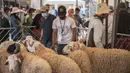 Orang-orang berkumpul untuk membeli domba jelang perayaan Idul Adha di sebuah pasar di pinggiran Rabat, Maroko, Kamis (30/7/2020). (AP Photo/Mosaab Elshamy)