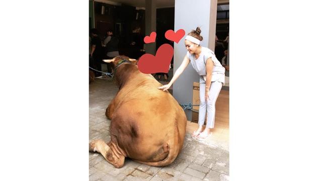 6 Momen Menarik Saat Ayu Ting Ting Rayakan Hari Raya Idul Adha
