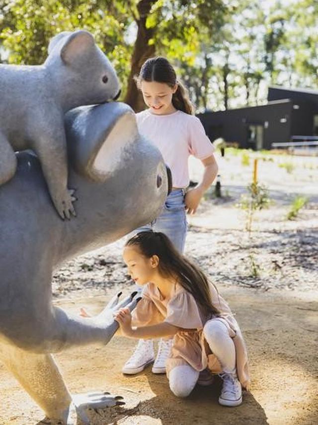 Port Stephens Koala Sanctuary