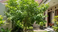 14 Pohon Buah yang Tidak Mudah Diserang Ulat Daun, Pilihan untuk Kebun Organik
