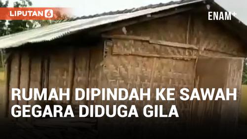 VIDEO: Sedang Sakit, Rumah Warga Dipindah Paksa ke Tengah Sawah oleh Penduduk