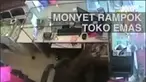 Penjaga toko yang menghalangi kejadian itu kalah cepat oleh sang monyet yang langsung kabur.