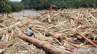 Kayu gelondongan besar terbawa arus banjir di Sumatera. (Antara)