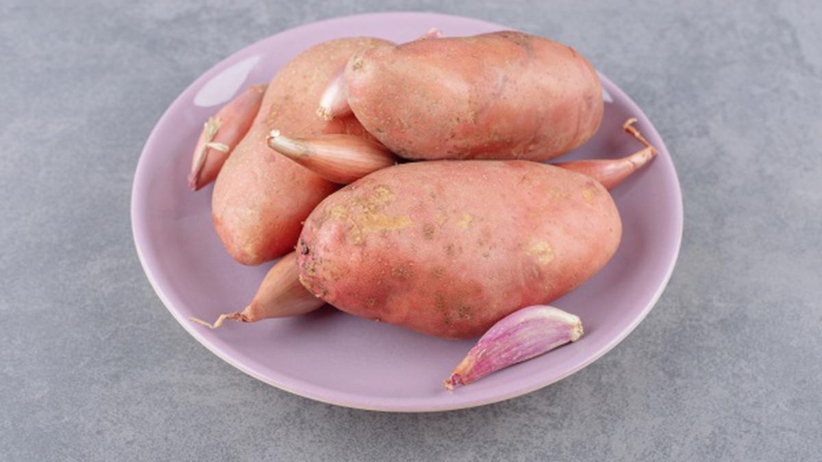 Cara Memotong Ubi Cilembu Sebelum Dikukus, Hasilkan Kematangan Sempurna dan Lezat