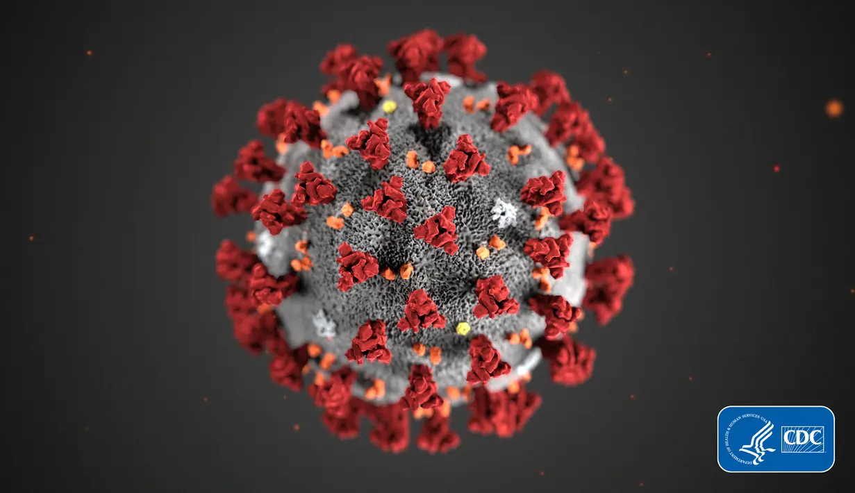 Ilustrasi Novel Coronavirus 2019 (2019-nCoV). Hingga saat ini, wabah virus corona masih belum bisa dimusnahkan. (CDC via AP, File)