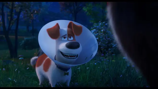 Film The Secret Life of Pets 2