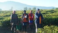 Sejumlah buruh petik teh di perkebunan di Desa Tarumajaya, Kecamatan Kertasari, Kabupaten Bandung, menyiangi tubuhnya sebelum beraktivitas. Hal ini dilakukan mengingat suhu di Kertasari lebih dingin dari biasanya. (Liputan6.com/Huyogo Simbolon)