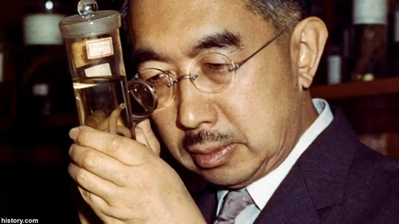 hirohito121211c.jpg