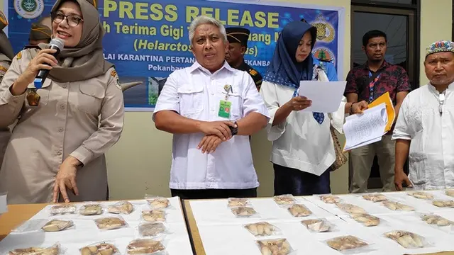 Penyerahan ratusan taring beruang madu ke Balai Besar Konservasi Sumber Daya Alam Riau.