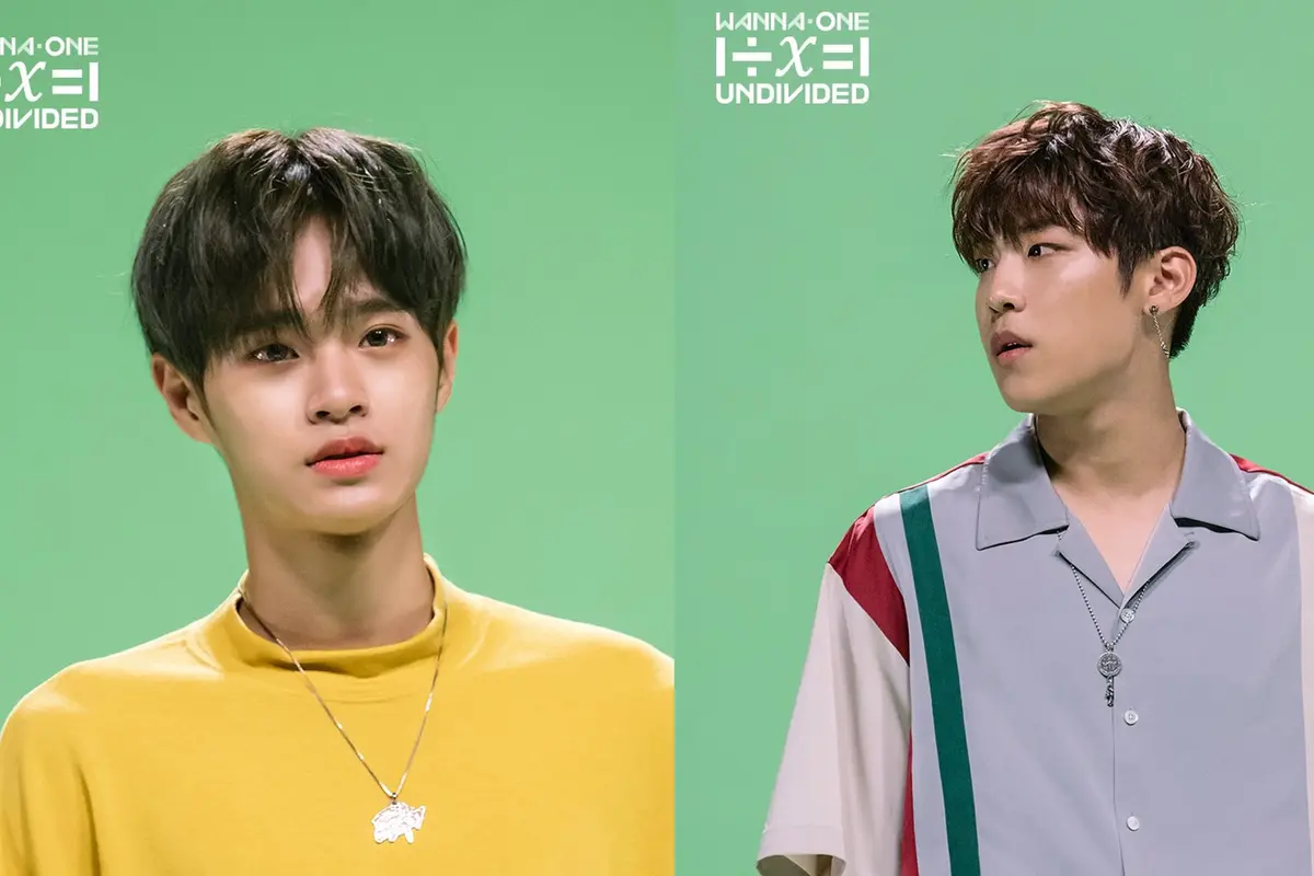 Woo Jin - Dae Hwi Wanna One (Naver/ Wanna One)