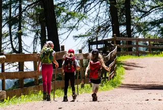 Aktivitas ini tak hanya menyehatkan tubuh, tetapi juga menumbuhkan kepedulian terhadap alam, menjadikannya tren eco sport yang semakin digemari. (Foto: MaBraS/Pixabay)