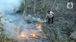 Kondisi ranting dan rumput yang kering juga diduga memicu munculnya api. (merdeka.com/Arie Basuki)