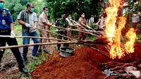 Pemusnahan daging celeng ilegal asal bima sebanyak 70 kilogram oleh, Karantina Pertanian Kupang Wilayah Kerja (Wilker)Waikelo, NTT. (Foto Istimewah)